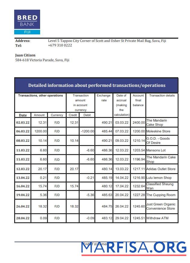 Realistic Fiji Bred bank statement excel sample
